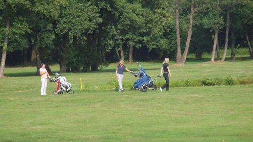 Pole golfowe, Tadeusz Walkowicz