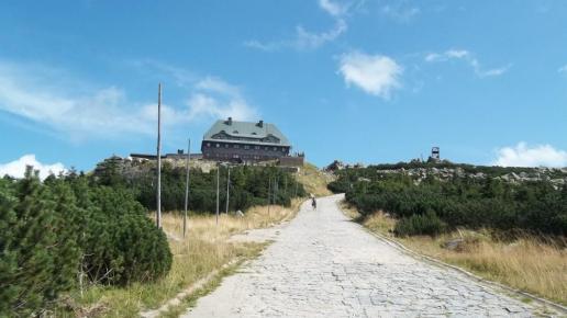 Karkonosze Szrenica, Ela