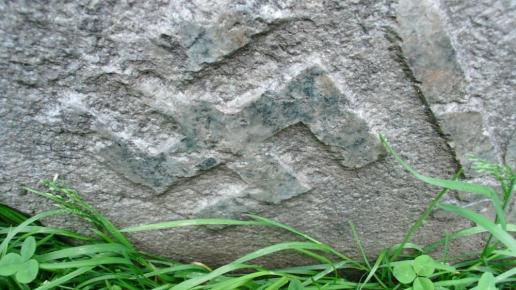 Kompleks Rzeczka, mokunka