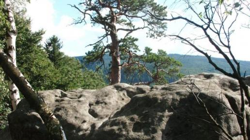 Szczytnik, mokunka