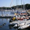 marina, Danusia