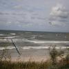 , Danusia