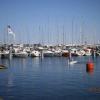 marina, Danusia