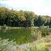 , Danusia