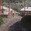 Kazbegi, Tadeusz Walkowicz