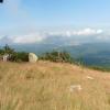 , mokunka