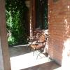 patio , ta i 2 kolejne foty, mokunka