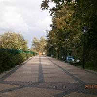 , Danusia