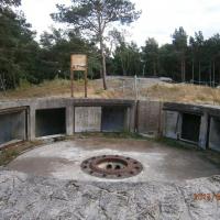 , Danusia
