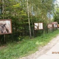 , Danusia