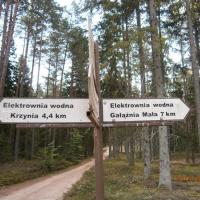 , Danusia