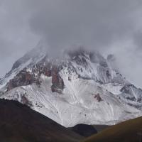 Lodowiec Kazbegi, Tadeusz Walkowicz