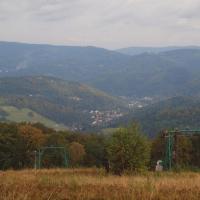 , Tadeusz Walkowicz