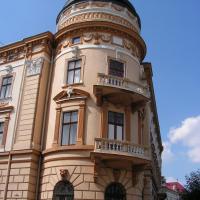 Kołomyja, Henryka Darnia