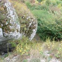, mokunka