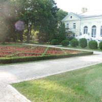, mokunka