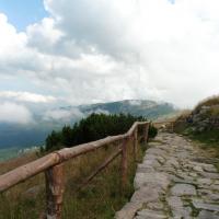 Szrenica, mokunka