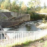 , mokunka