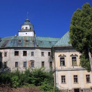 Zamek w Międzylesiu