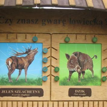 . gry interaktywne, Danuta