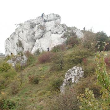 , mokunka