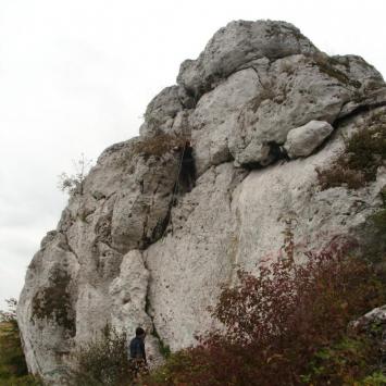 , mokunka