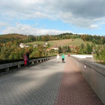 , mokunka