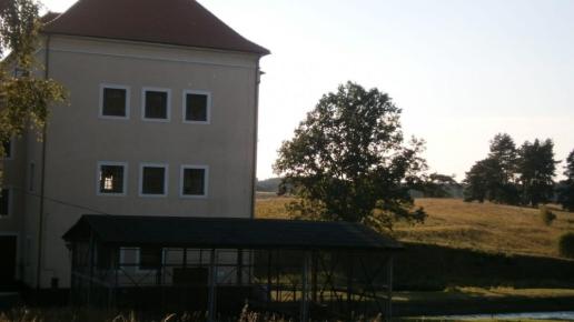 elektrownia Krzynia, Danusia