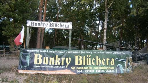 , Danusia