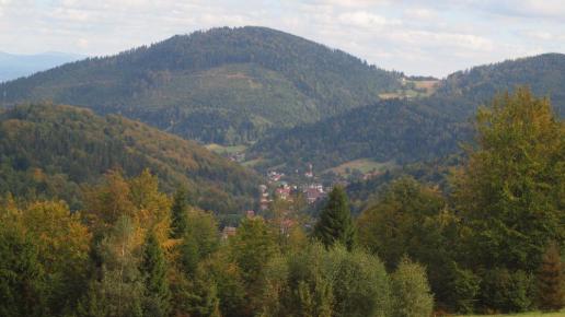 W oddali Szczyrk, Tadeusz Walkowicz