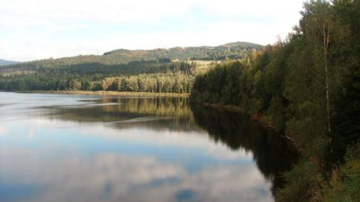 , mokunka