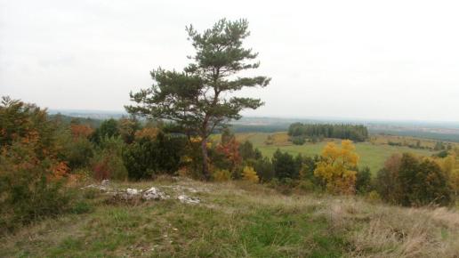 , mokunka