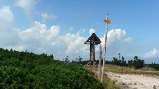 , mokunka