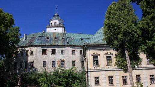 Zamek w Międzylesiu