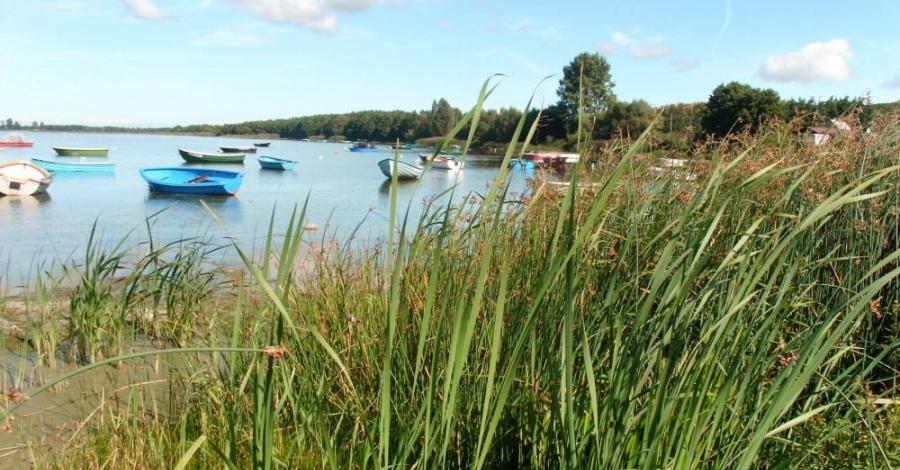 Jezioro Żarnowieckie – piękny zakątek na Pomorzu - zdjęcie