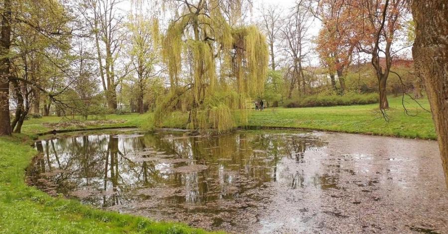 IV zespół pałacowo-parkowy Ballestremów - ogród (Pławniowice) - zdjęcie