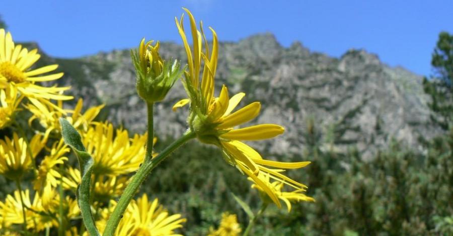 Tatry Wysokie - Bystra Ławka - zdjęcie