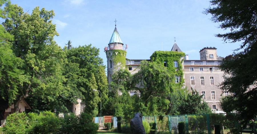 Szczytnik - zdjęcie