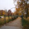 park-alejka różana, Danusia