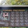 pomniki przyrody,tablica informacyjna , Danusia