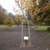 park, Danusia
