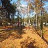 Park w Żarkach Letnisku, Tadeusz Walkowicz