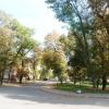 , mokunka