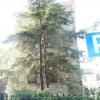 widok z parkingu, mokunka