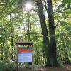 Park Repecki