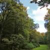 Park Repecki w Tarnowskich Górach