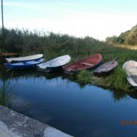 Gardno, Danusia