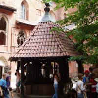 , Danusia