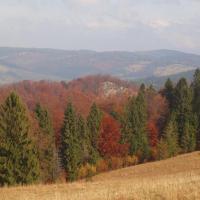 W kierunku Wąwozu Homole, Tadeusz Walkowicz