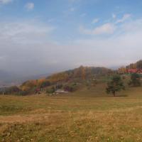 Palenica, Tadeusz Walkowicz